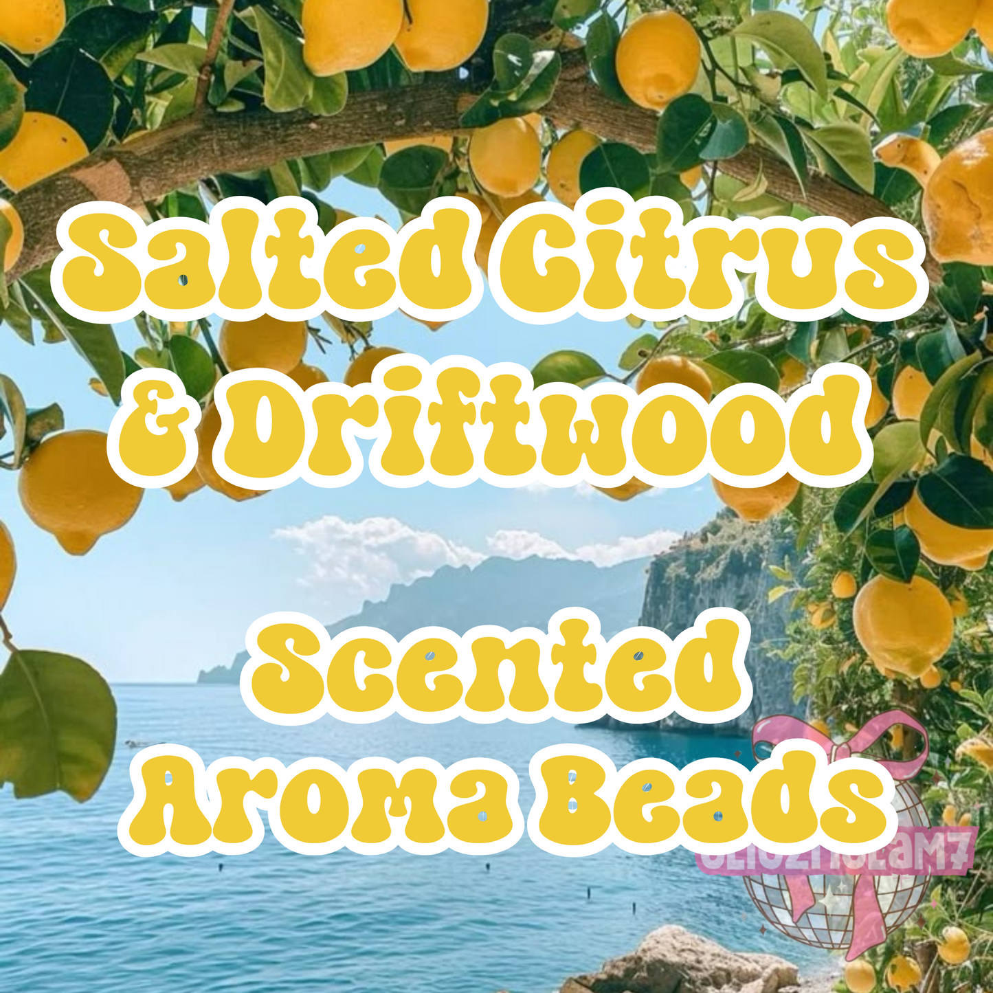Salted Citrus & Driftwood Premium Scented Aroma Beads