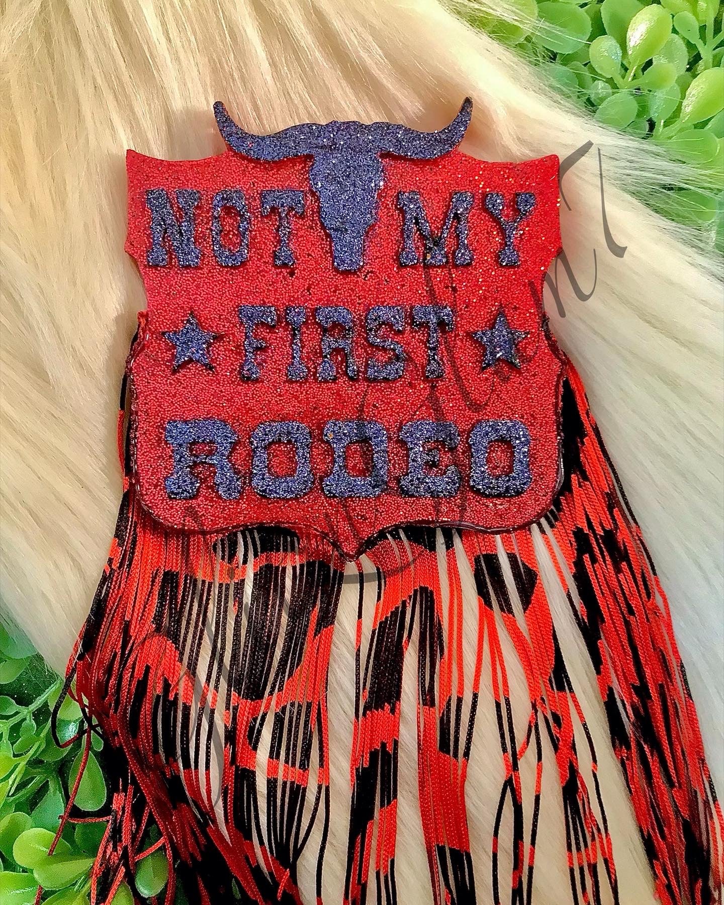 Not My First Rodeo Freshie Silicone Mold