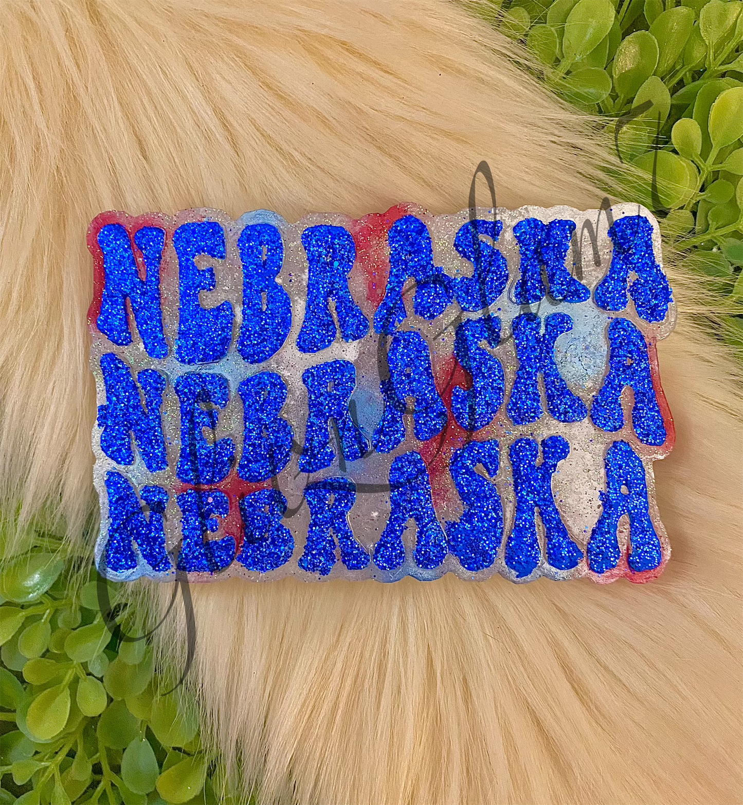 Nebraska Retro Silicone Mold