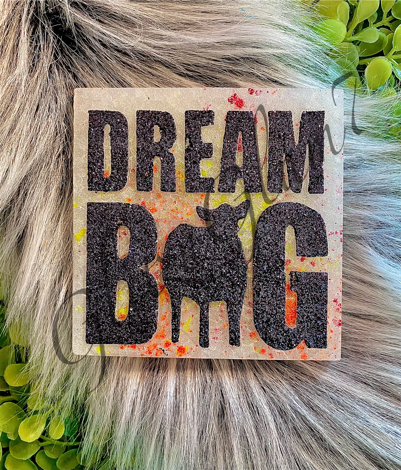 Dream Big Freshie Silicone Mold